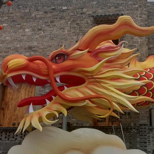 龙天杨