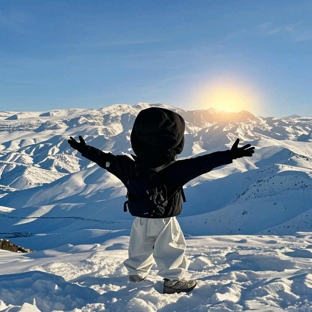 广州堪嘌商贸有限公司—鹏飞