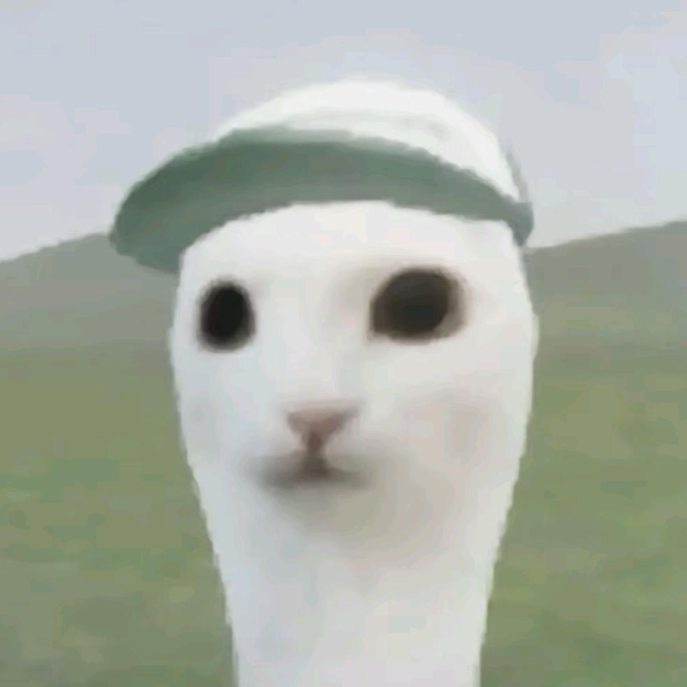 叶绿体