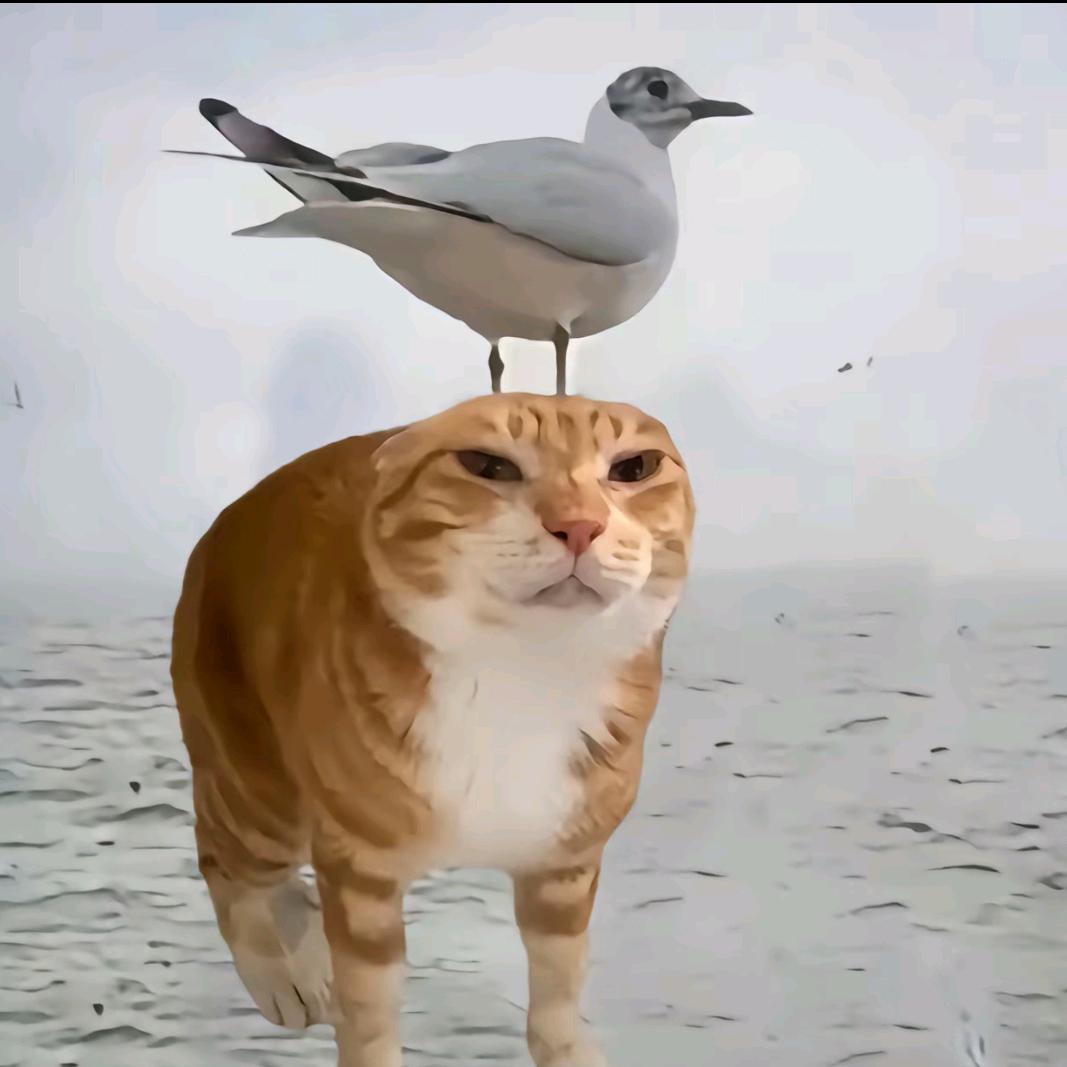 ´_>`