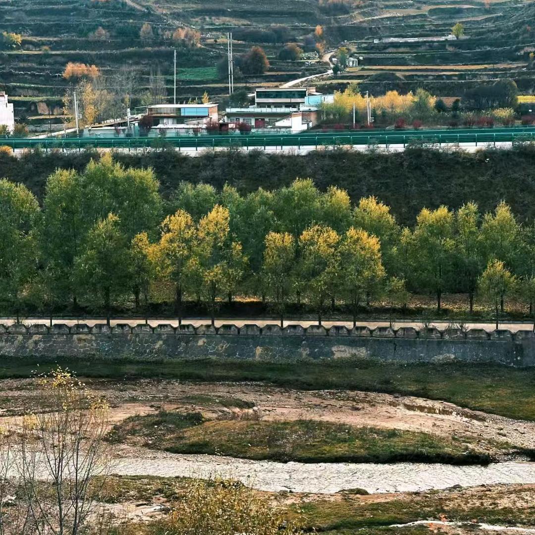 ꧔ꦿ大℘叔ᝰ愛᭄ᩚ꯭ᩚ財