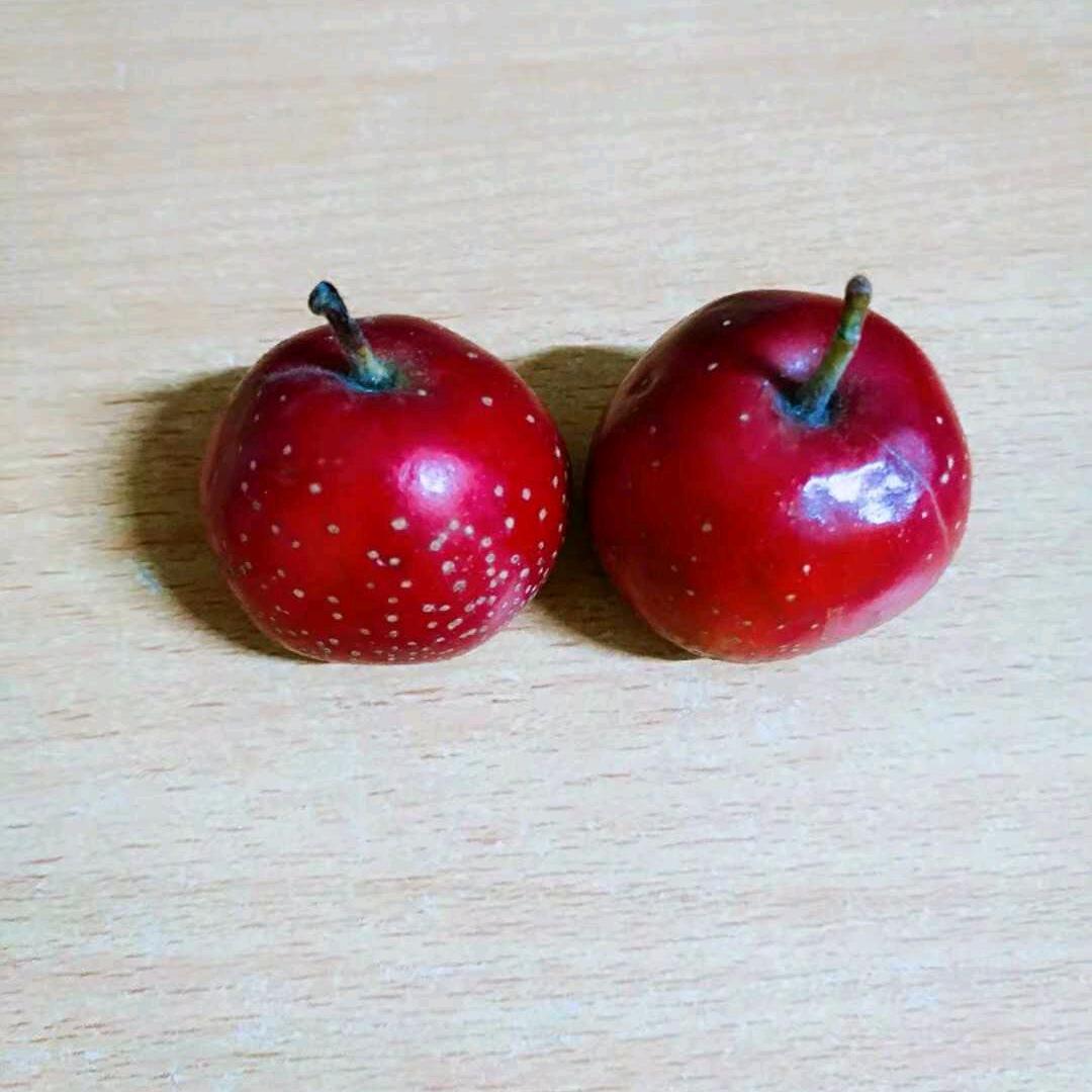 清  梦