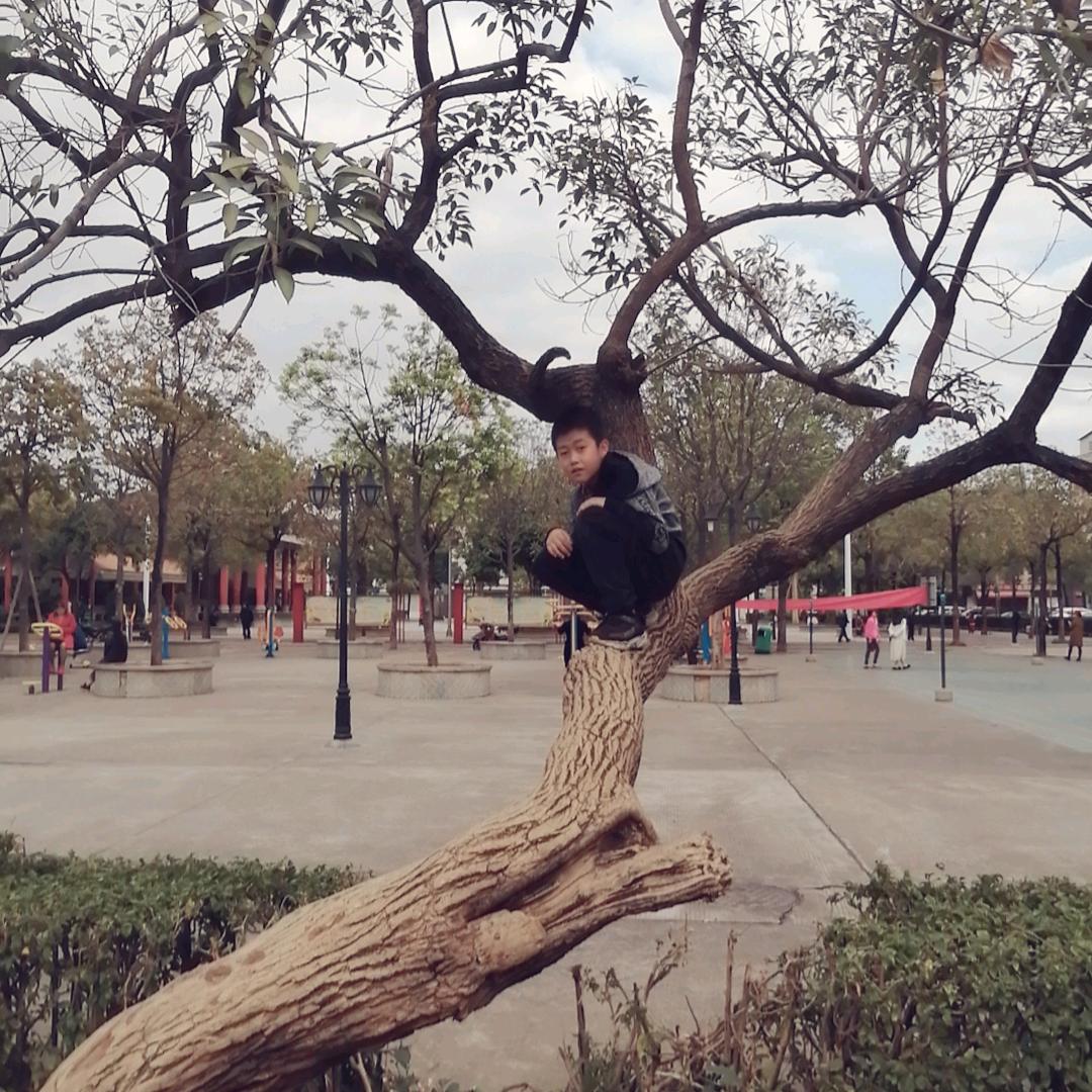 养羊得亿