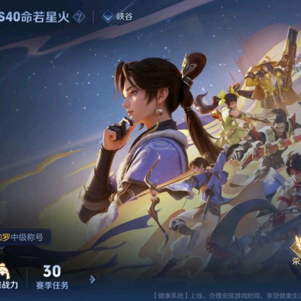 王者荣耀,林林