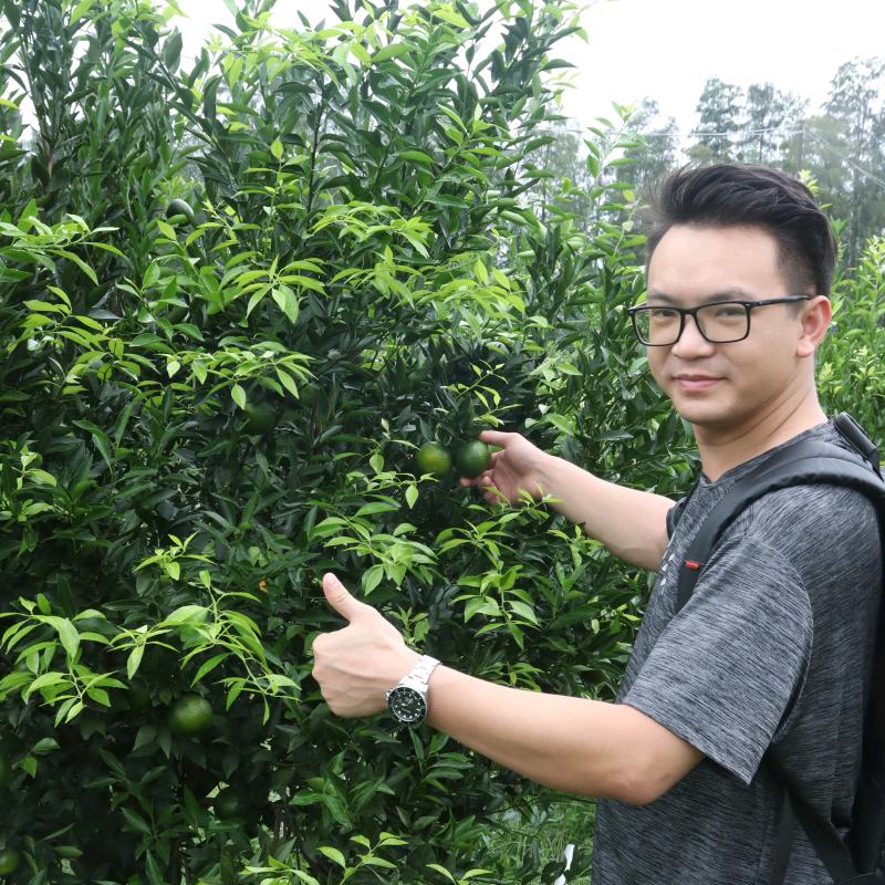 荣桦陈皮
