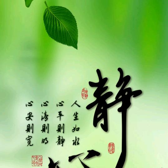 安静的生活