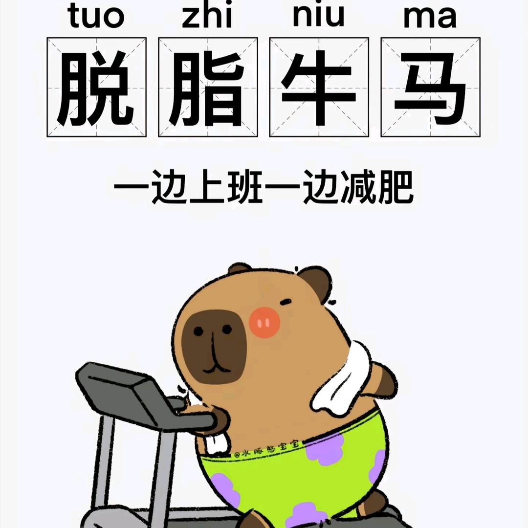 纯血白羊🐑