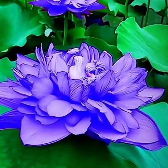 忽有故人心上过