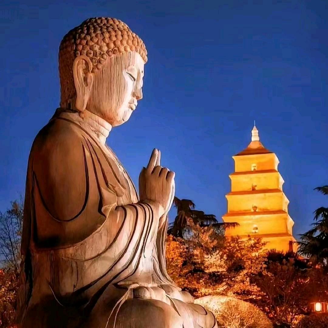 陕西潇洒哥
