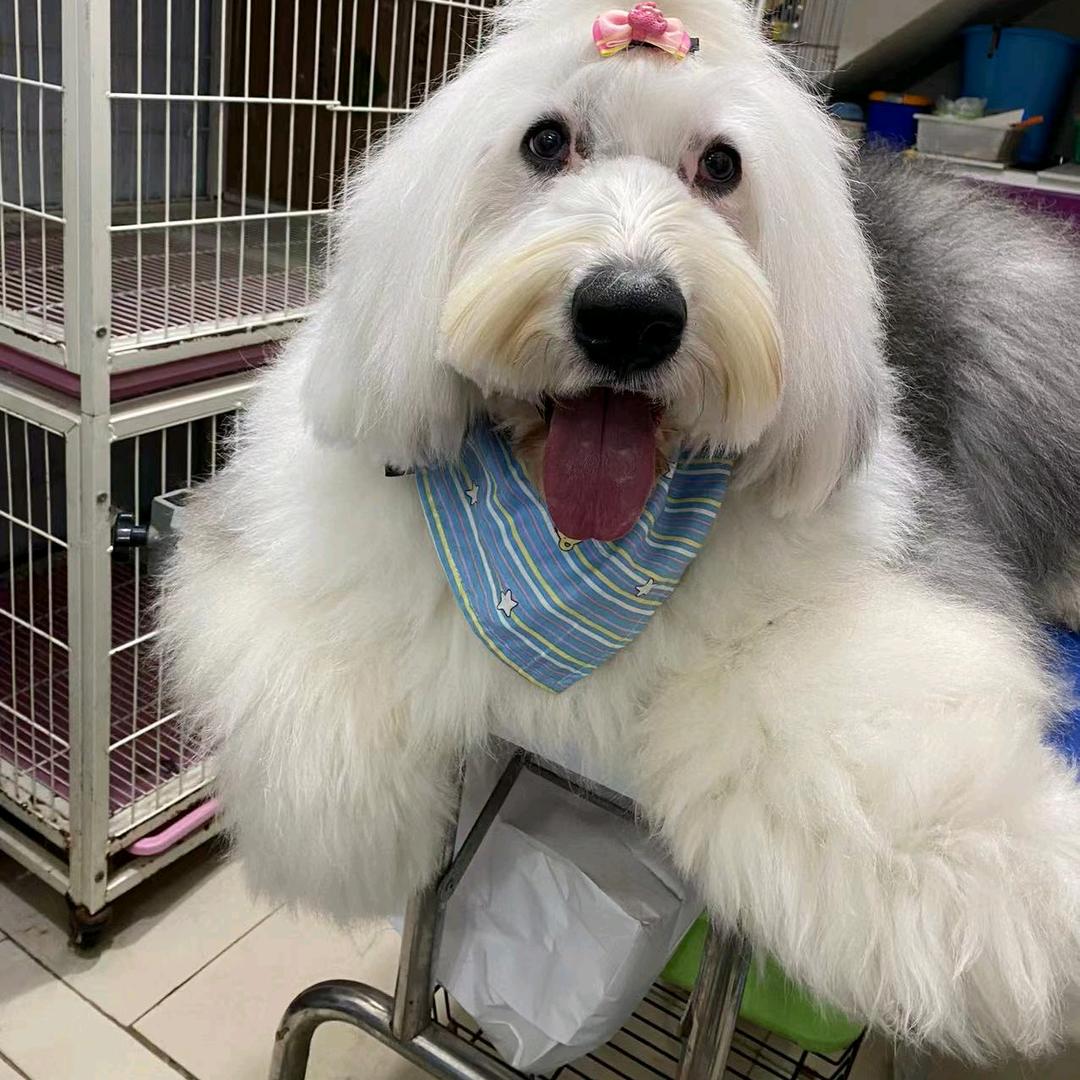 阿u