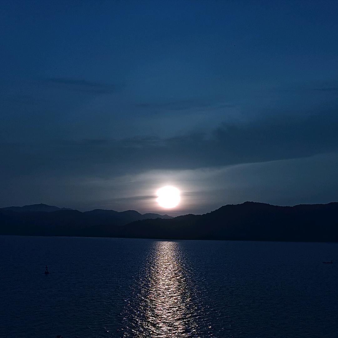 去码头整点薯条🍟