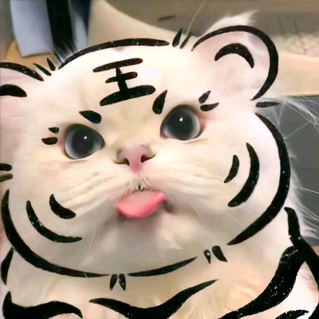 壮志凌云🍒