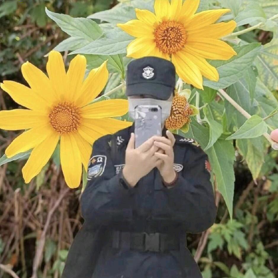 金非锡比