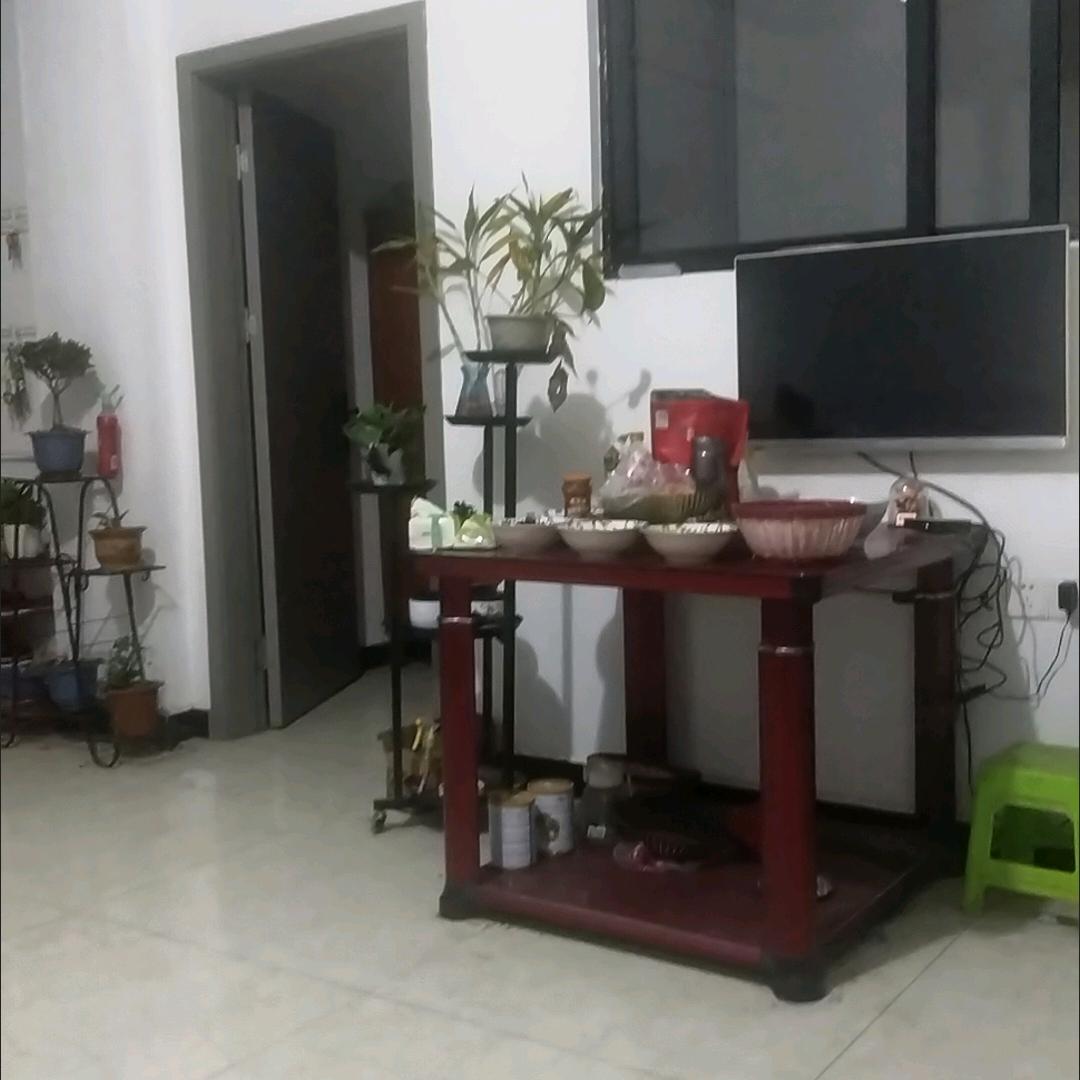 ⭐️雷打不动