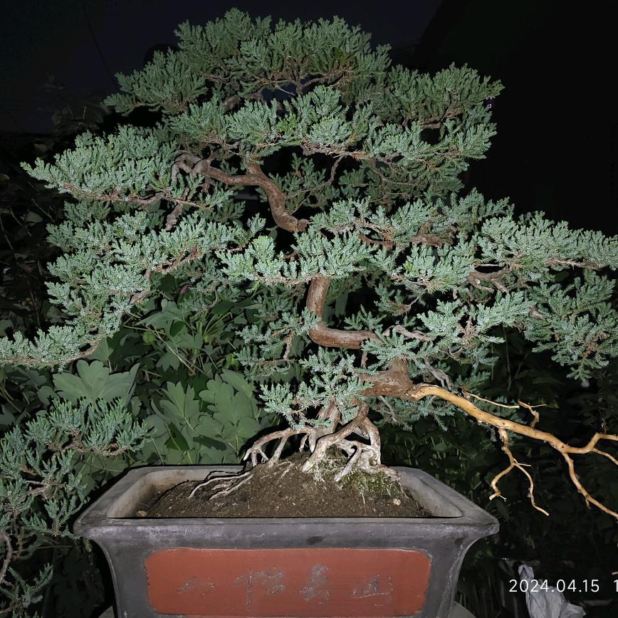 淡笑红尘