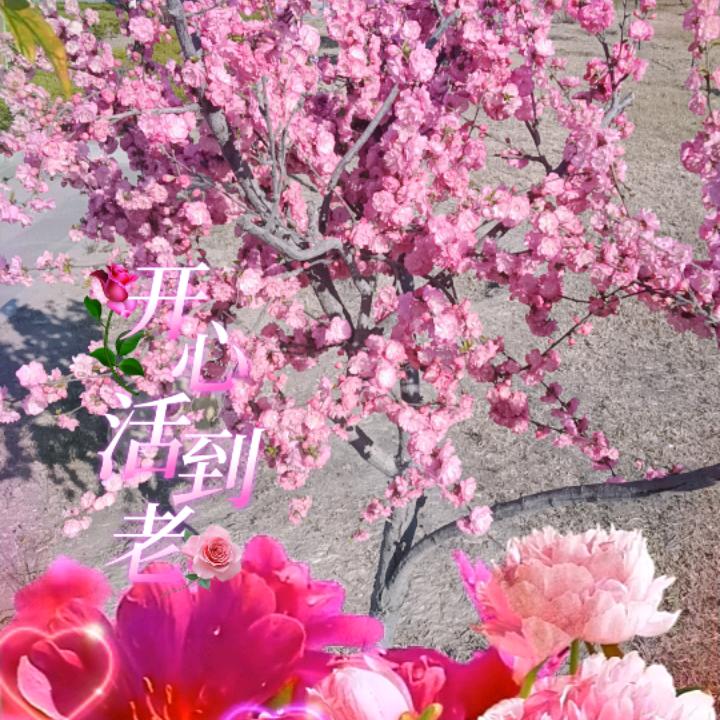 $沉默是金$