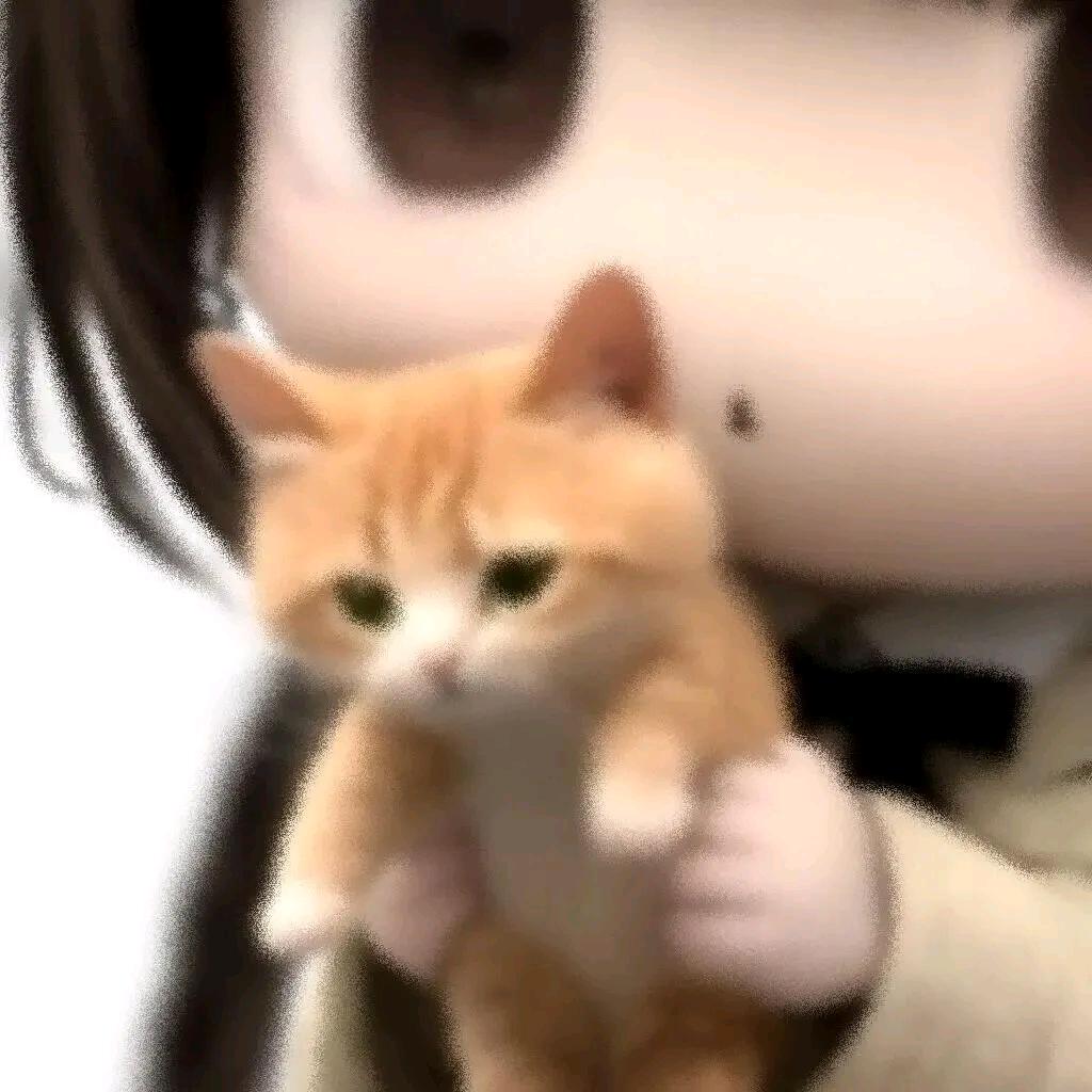 口子