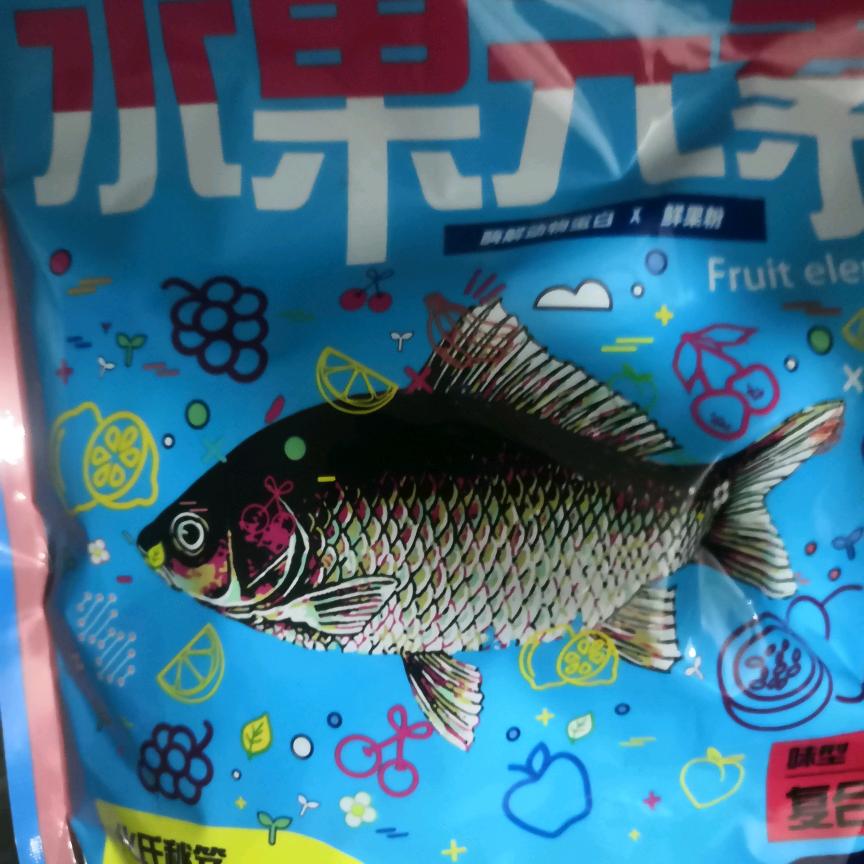 芙蓉