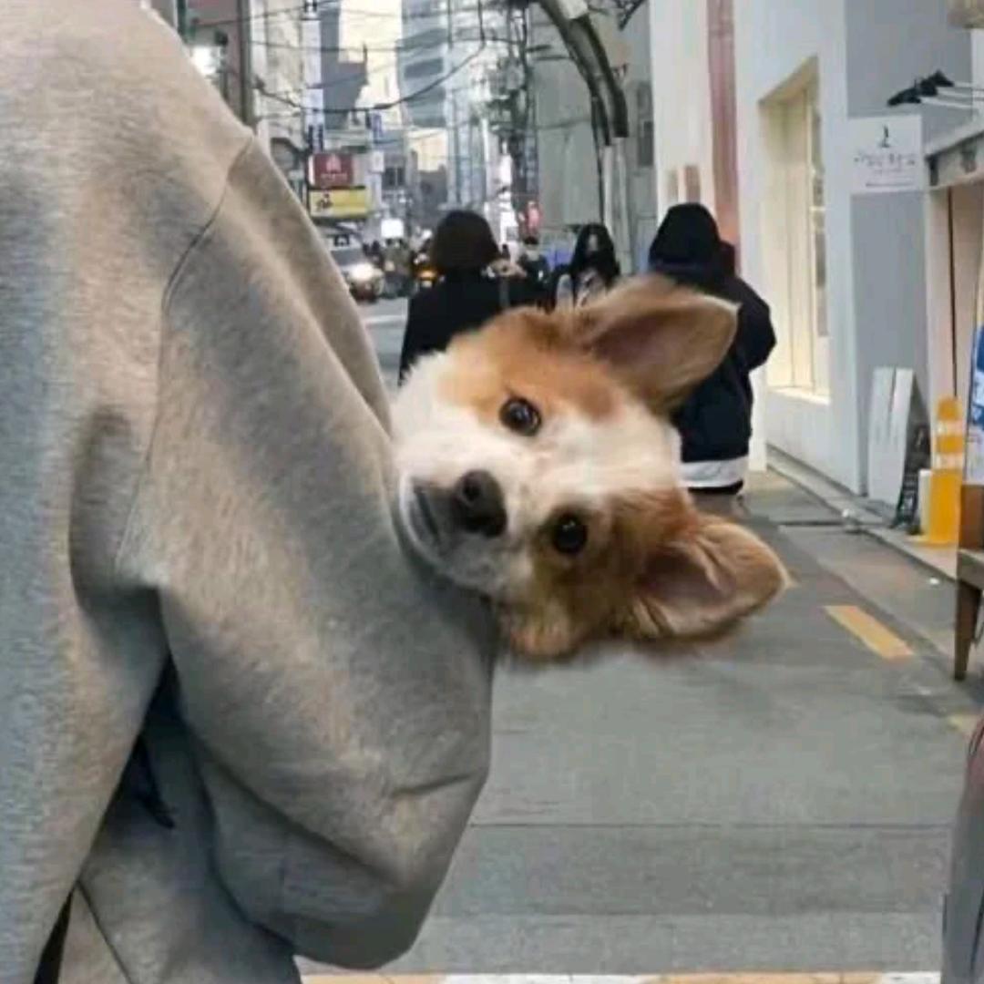 阿品