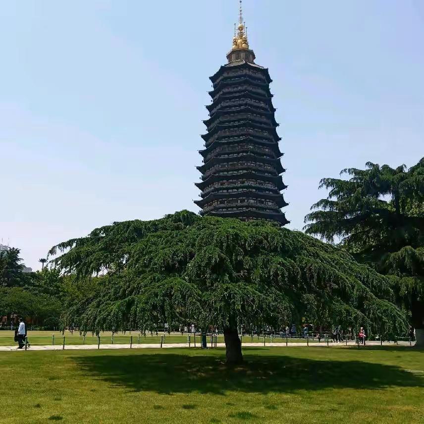 以后的以后