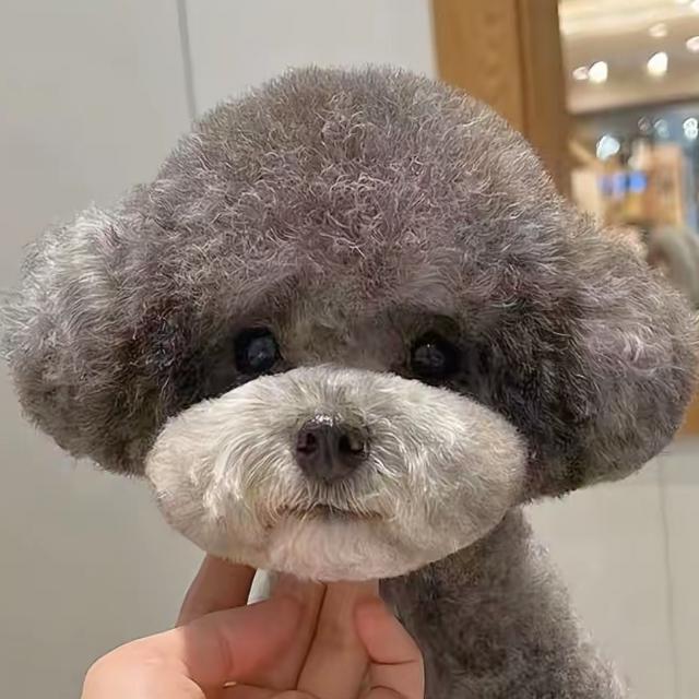 哈基米