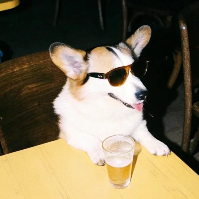 酒哥