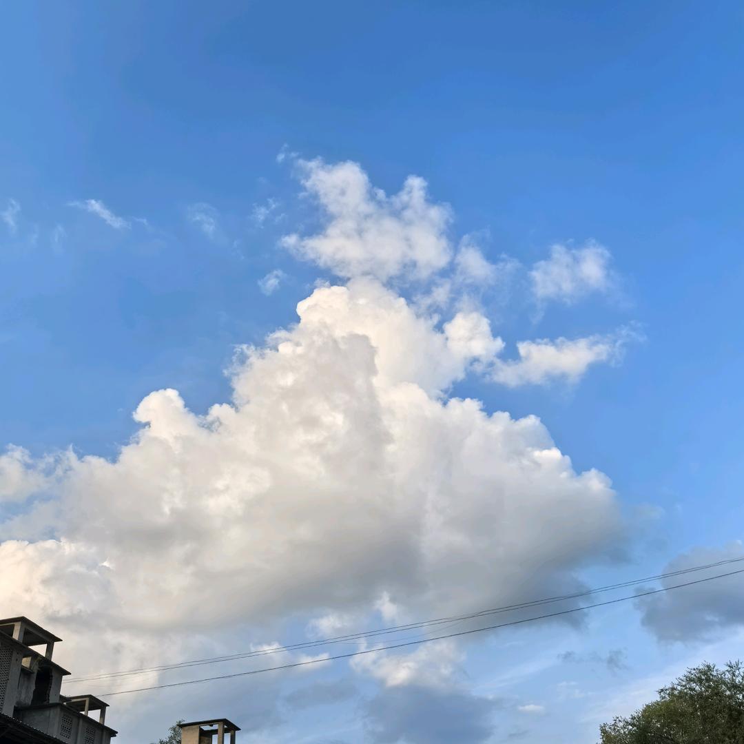 沉缘若梦🍃