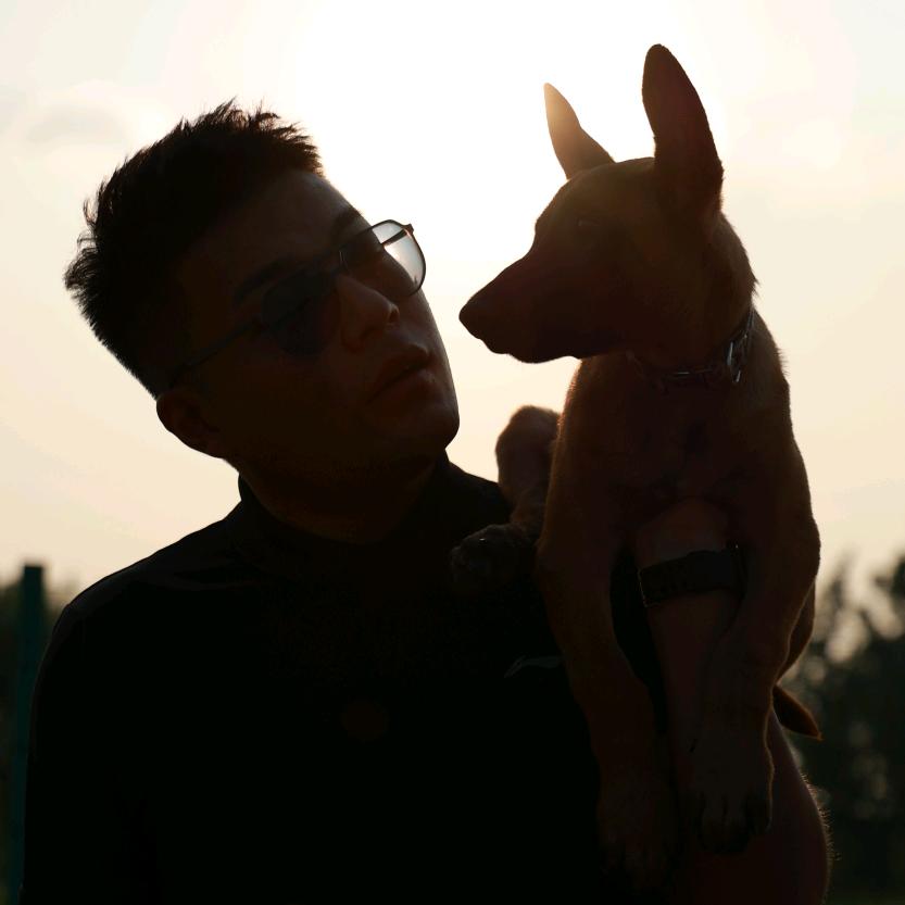 阿伦训犬