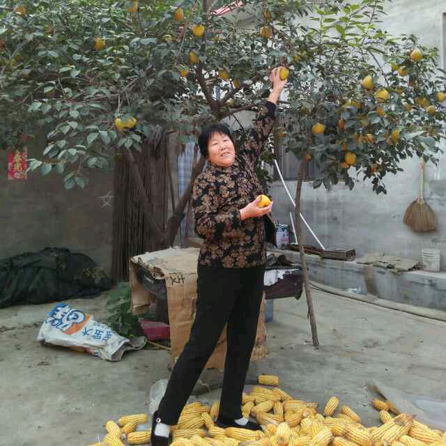 老太太