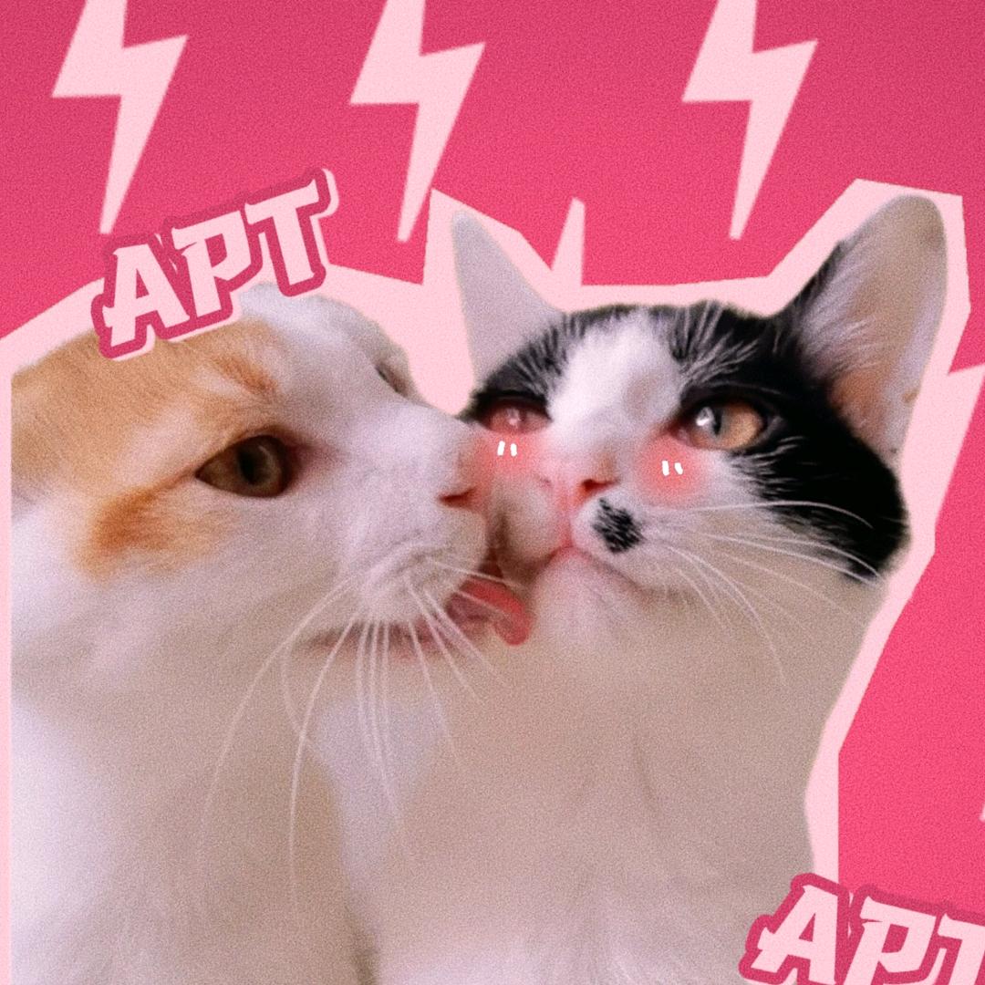给给云朵都是猫