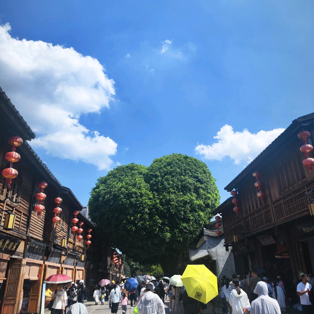 老老小孩