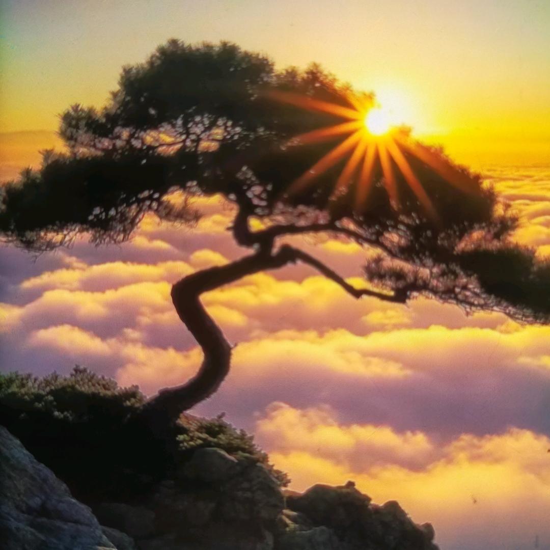 雪缘师傅