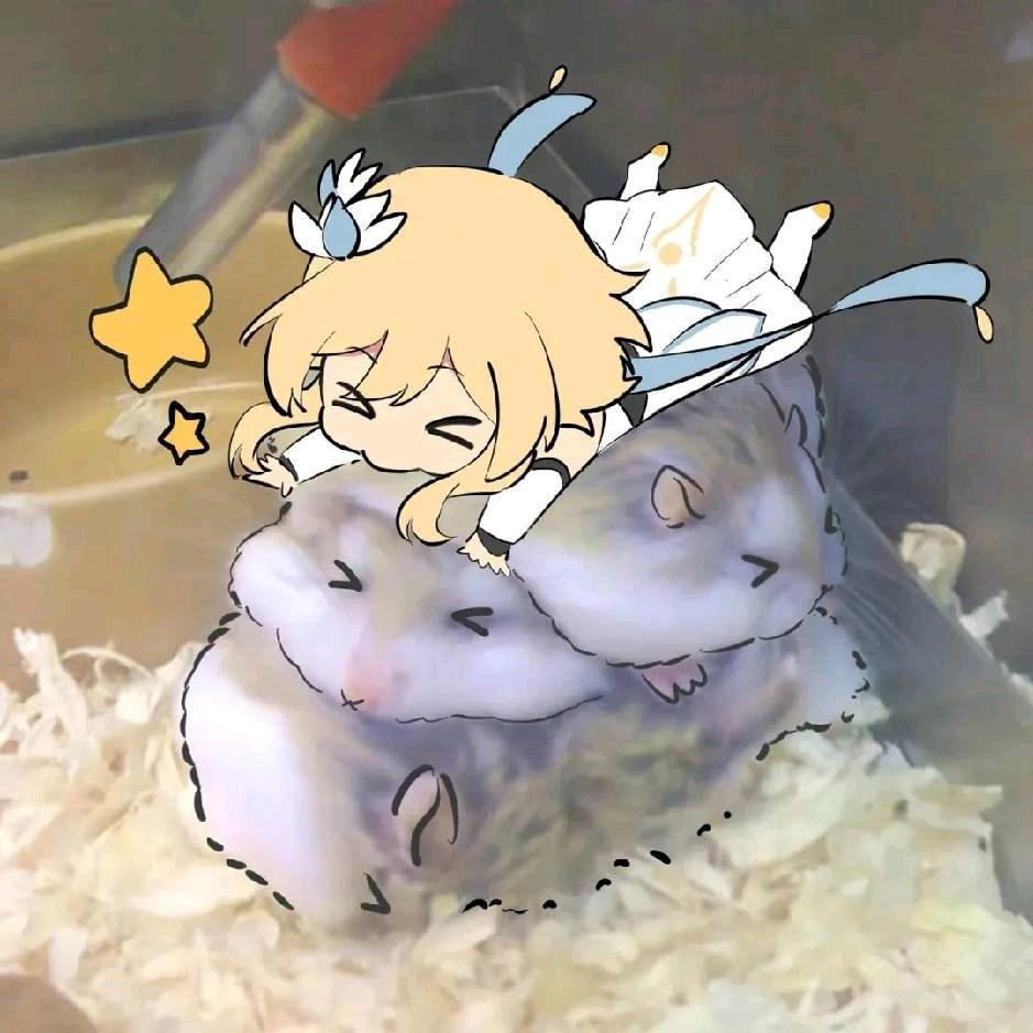 清风明月💫