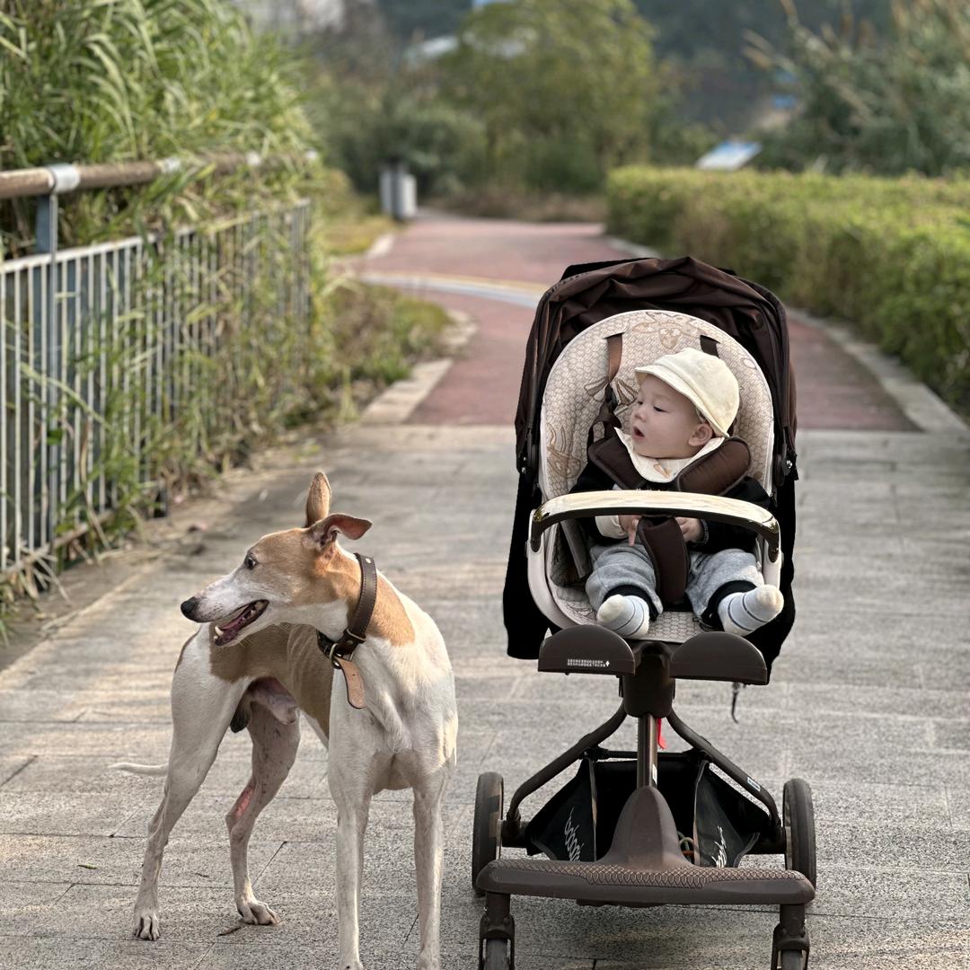 向💰看