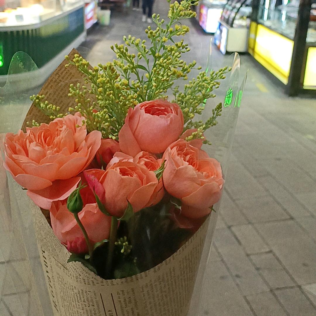 晃晃悠悠6191718303