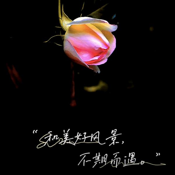 不期而遇