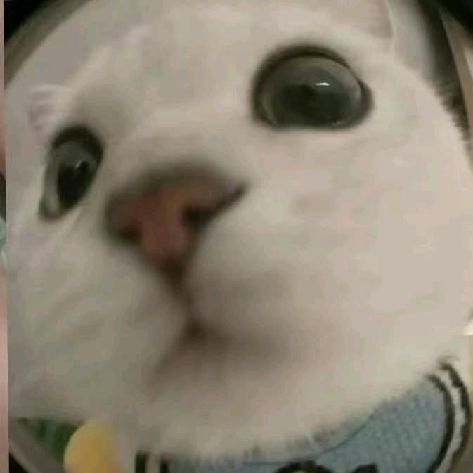枫玖