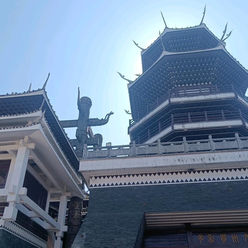 绽放