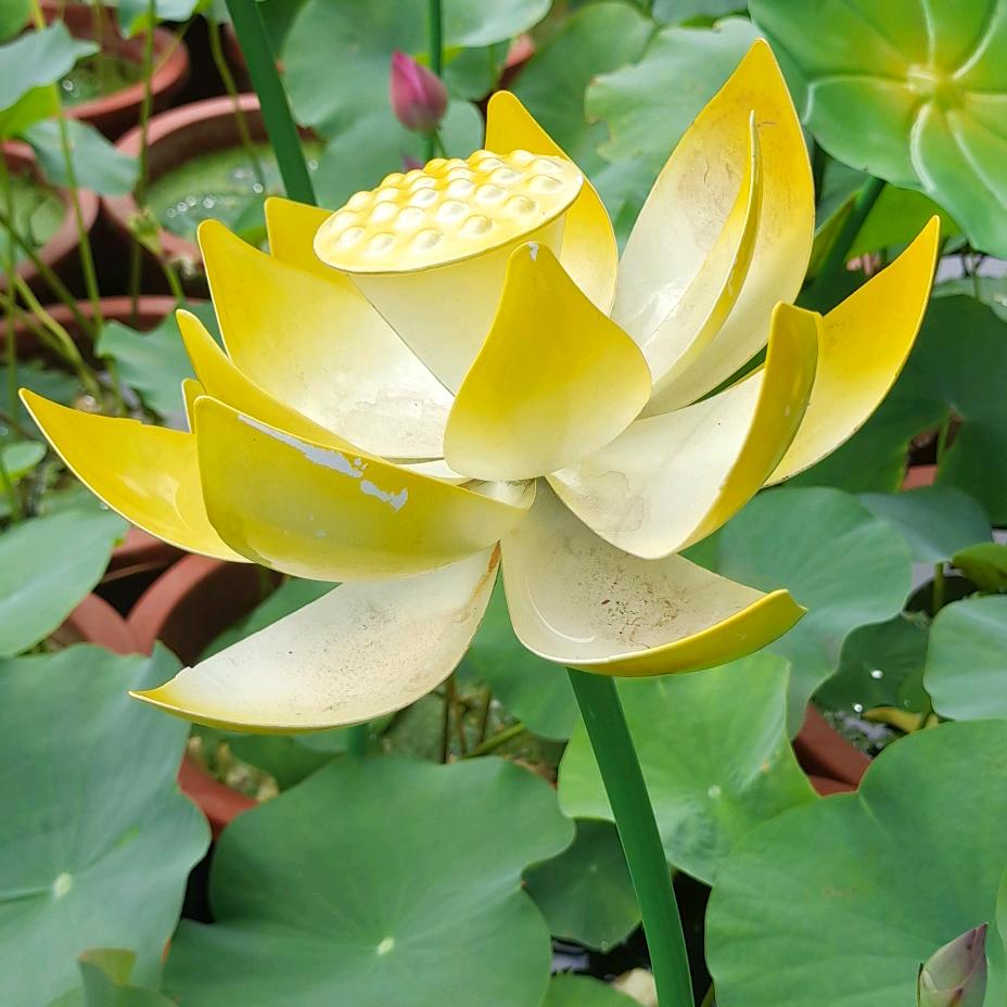 春夏秋冬漫长夜…两眼泪花想一人！