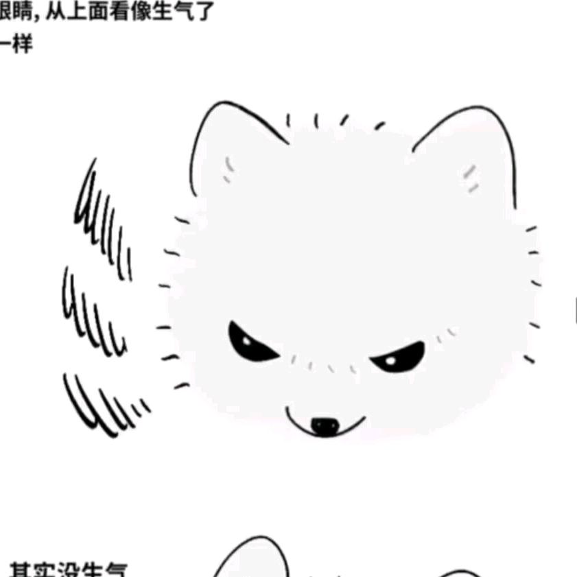可子