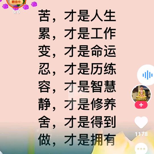 寂寞的狂野大白鲨321