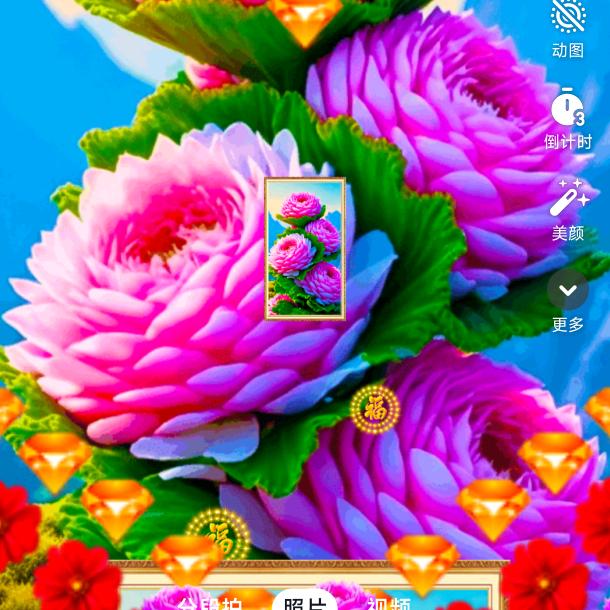 槿花