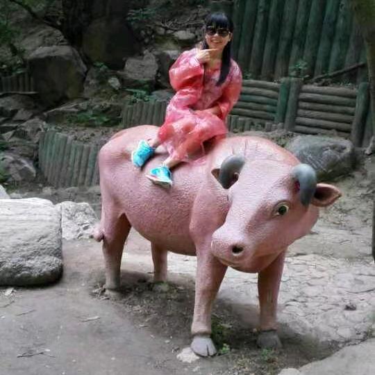 王者归来.