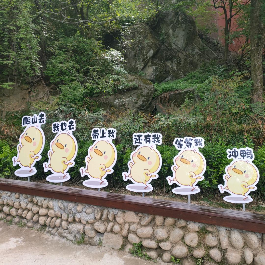 都没错