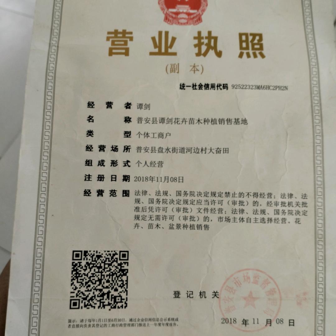 贵州普安县谭剑花卉苗木种植销售基地