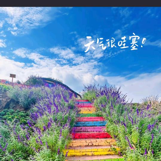 $风雨之恋@