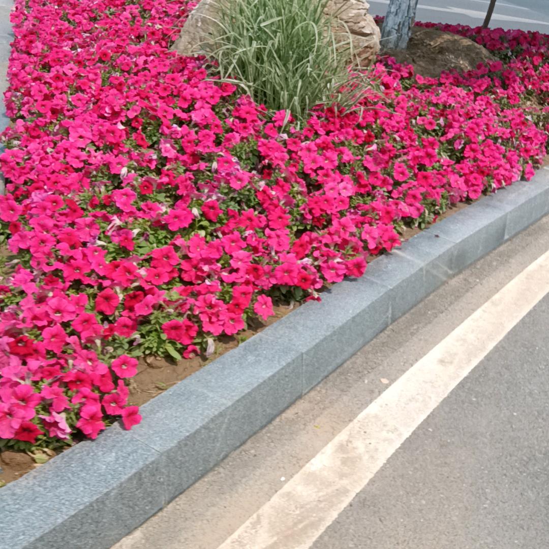 如意吉祥
