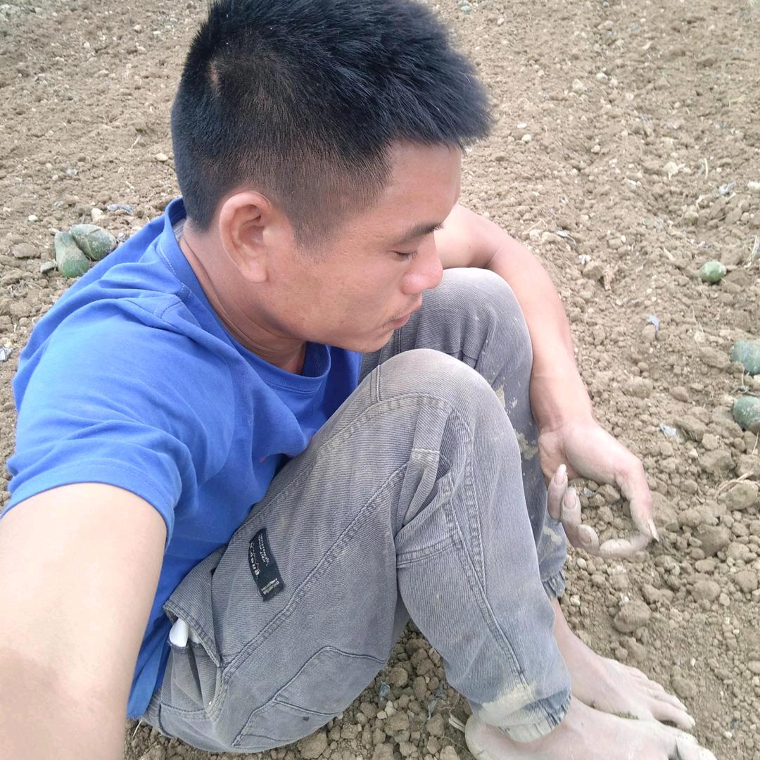 十 ，