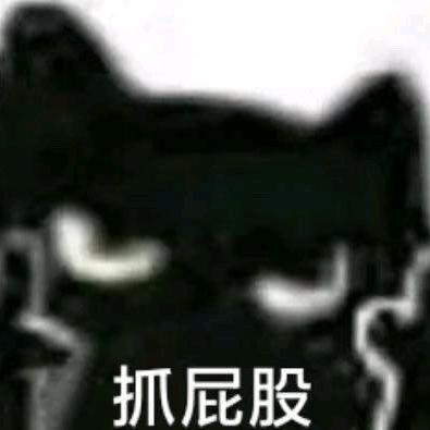 Rivailneko