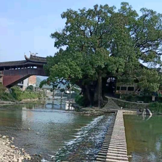 山哪边